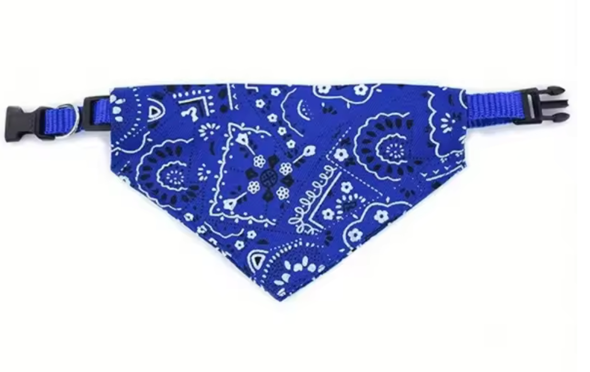 Bandana avec collier ajustable pour chat beau gosse